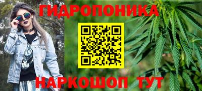 прущие грибы Кимры