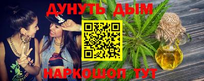 МДПВ Кингисепп
