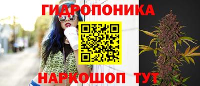 молекула духа Кинель