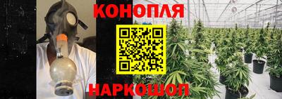 МДПВ Кингисепп